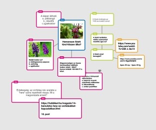 Kosbortúra gondolattérkép feladatokkal