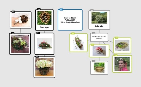 Kosbortúra gondolattérkép feladatokkal 2