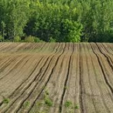 Időterv a talaj tulajdonságainak vizsgálata projekthez, tanári példány