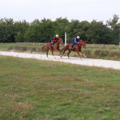 Gyorsasági galopp tréning