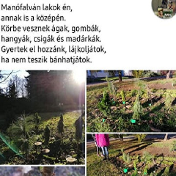 Miniarborétumok fantáziafák, makettfák készítése, 8. foglalkozás, Informatika, óravázlat