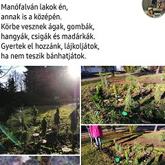 Miniarborétumok, fantáziafák, makettfák készítése 8 foglalkozás Informatika fotó 1