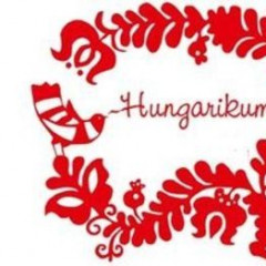 Húsipari Hungarikum - A játék indítása plakát