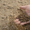 Talaj tulajdonságai-talaj pH mérésének gyakorlata fotók