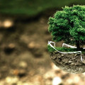 Talaj tulajdonságai -Környezetszennyezés hatása a talajra óraterv