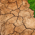 Talaj tulajdonságai fizikai-A talai szerkezet típusai óraterv