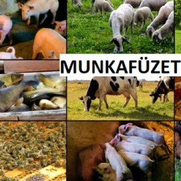 3.2. Munkafüzet az állattenyésztéshez kapcsolódó szakmai tárgyak tanításához