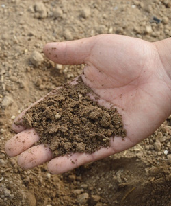 A talaj tulajdonságainak vizsgálata